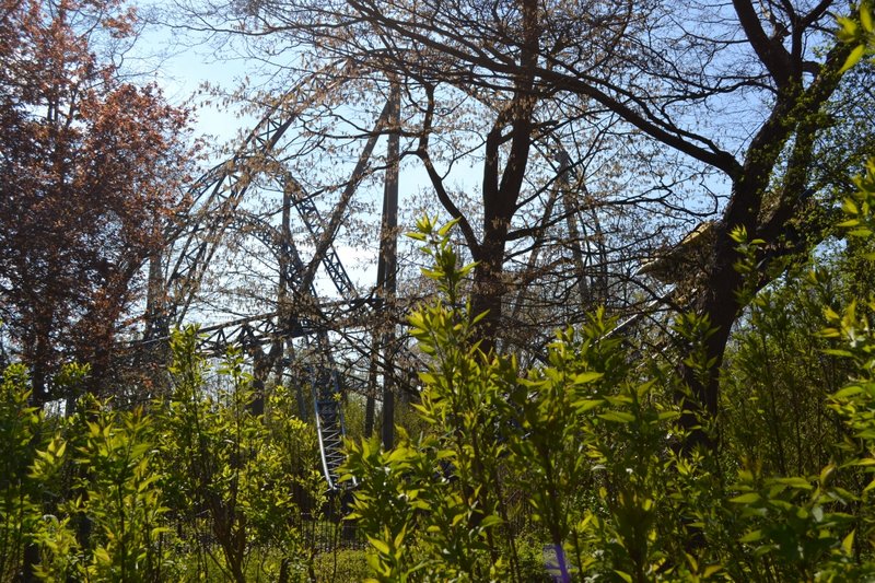 DSC_0359.JPG (1.23 MiB) Viewed 3347 times DSC_0359.JPG