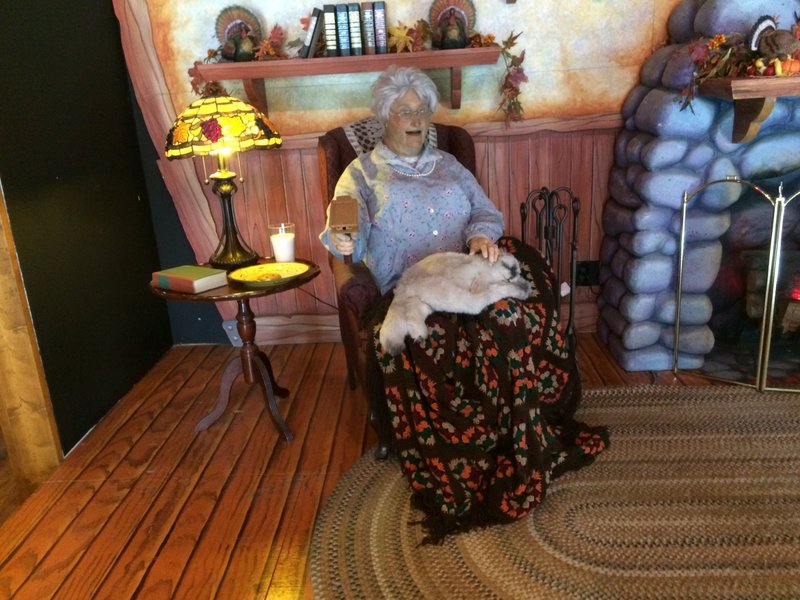 Gobbler Getaway Grandma Gun 1.JPG (783.84 KiB) Viewed 1575 times Gobbler Getaway Grandma Gun 1.JPG