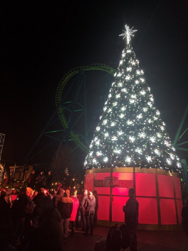 Main Tree.jpg (492.59 KiB) Viewed 828 times Main Tree.jpg