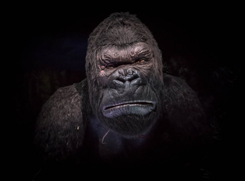 Orlando 2015 Herbst - 050 - Skull Island- Reign of Kong.jpg (182.06 KiB) Viewed 1865 times Orlando 2015 Herbst - 050 - Skull Island- Reign of Kong.jpg