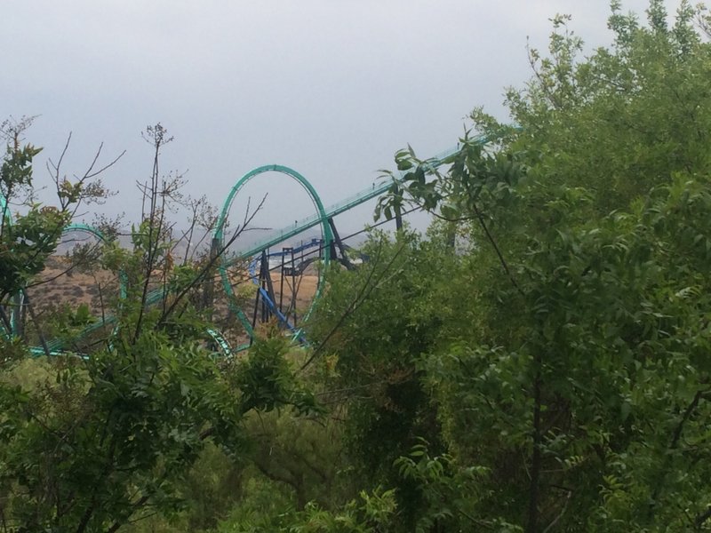 Riddler's Revenge Through the Trees.JPG (690.4 KiB) Viewed 7072 times Riddler's Revenge Through the Trees.JPG