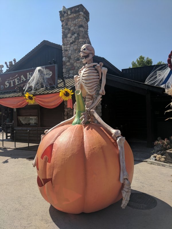 Skeleboner (Side).jpg (482.77 KiB) Viewed 3776 times Skeleboner (Side).jpg