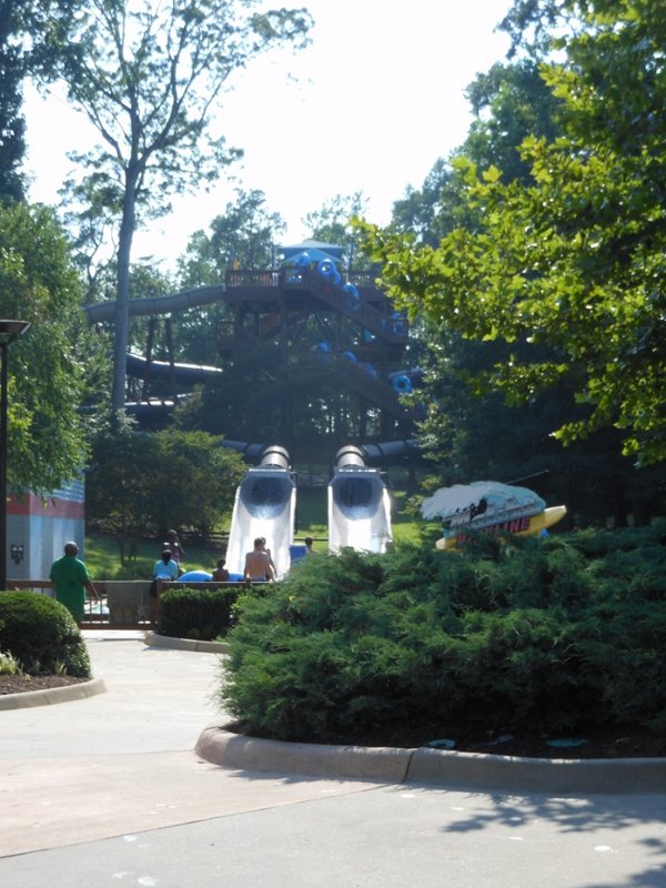 VA Beach & Busch Gardens 2012 146.JPG (300.79 KiB) Viewed 334 times VA Beach & Busch Gardens 2012 146.JPG
