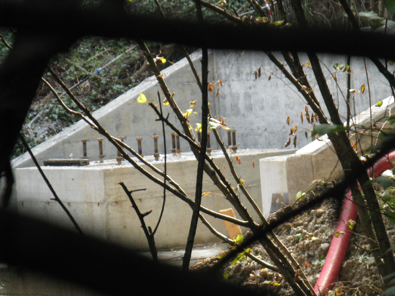 tpr004.jpg