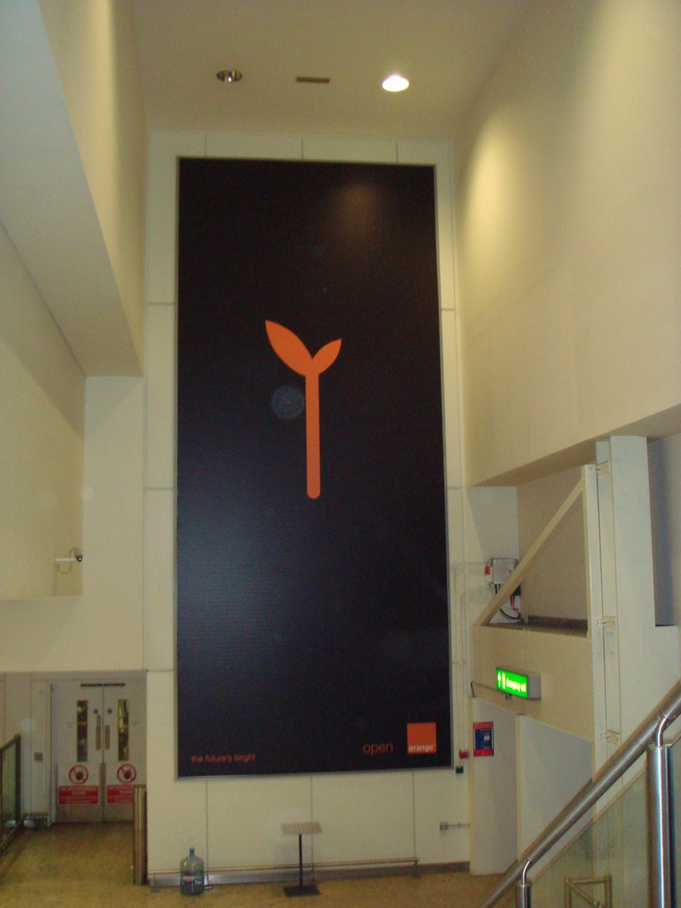 TPR - Day0 015.JPG