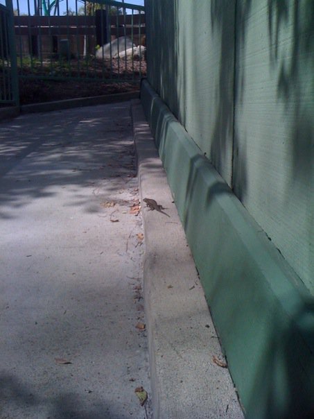 wcb2010_1_025.jpg