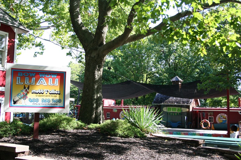 WoF Coaster Mayhem 2011 042.JPG