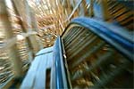 133 Coaster POVs and Music Videos! 