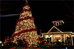 Christmas in the Smokies! 