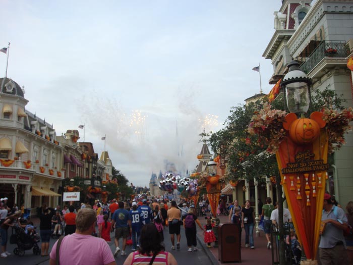 magic kingdom orlando florida. Magic Kingdom#39;s castle is