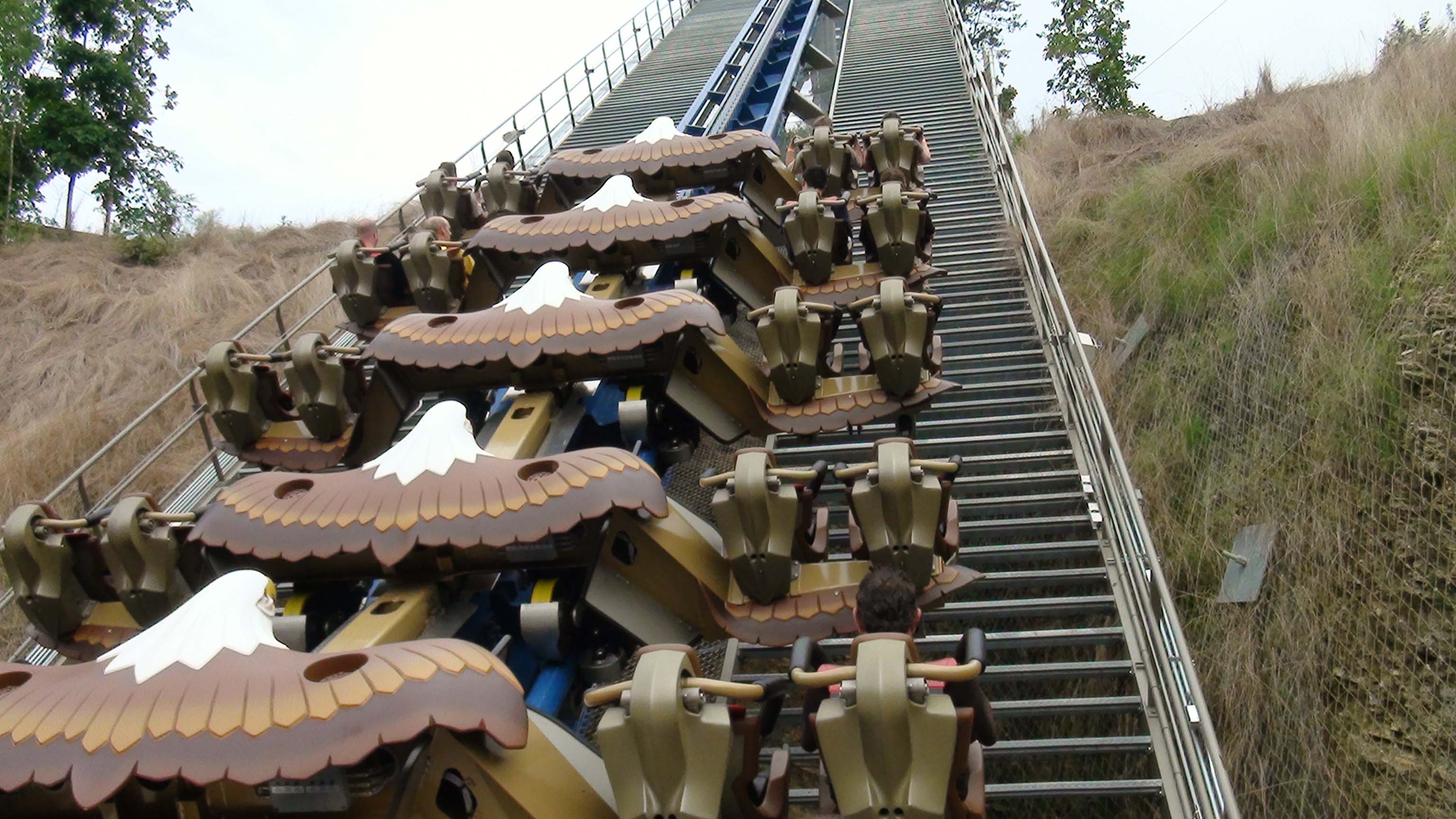 Dollywood - Wild Eagle3072 x 1728