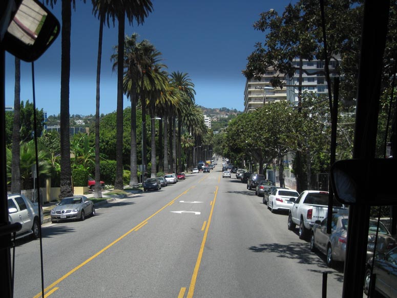 sunset blvd palm trees