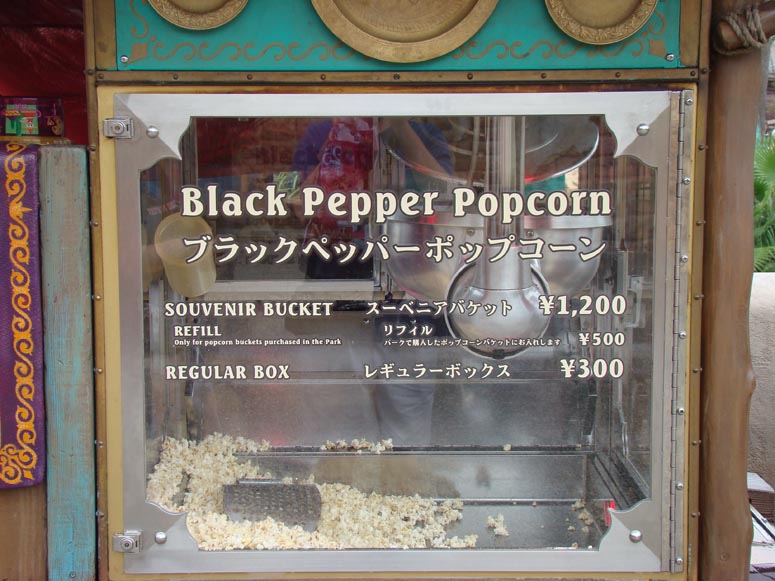 tokyodisney2008_87.jpg