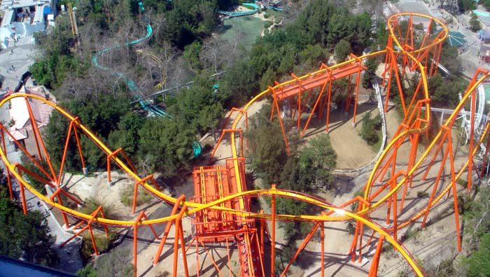 six flags magic mountain tatsu. Six Flags Magic Mountain