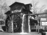 Dollywood: In Black and White