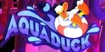 Disney Fantasy AquaDuck POV!