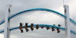Kiwi's Do Cedar Point