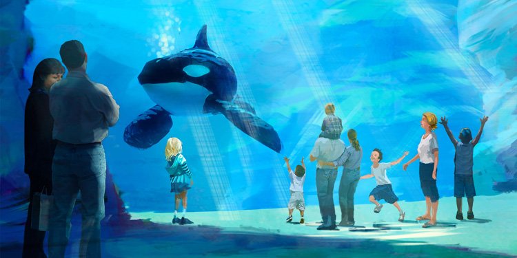 SeaWorld Announces New Shamu Exhbit