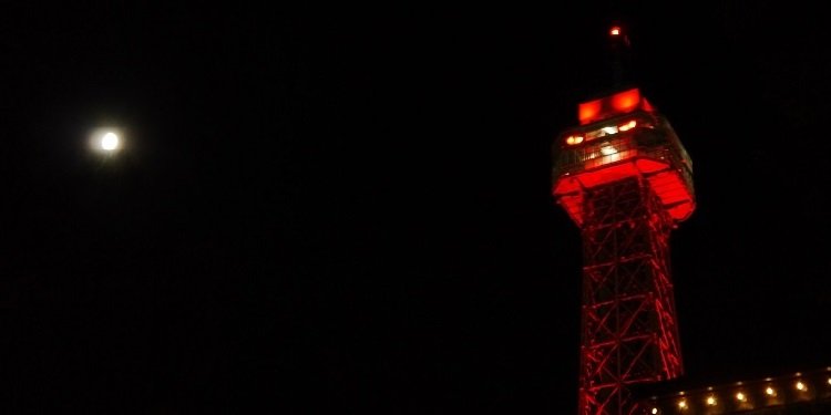 Report from Kings Dominion's Haunt!