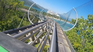 Dragon's Tail POV Video!