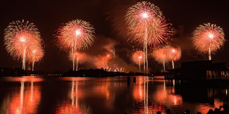 New Year's Eve Fireworks at Magic Kingdom!