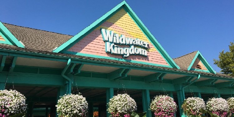 The Last Day of Wildwater Kingdom!