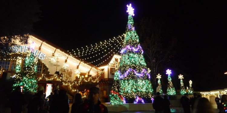 A Night at Busch Gardens' Christmas Town!