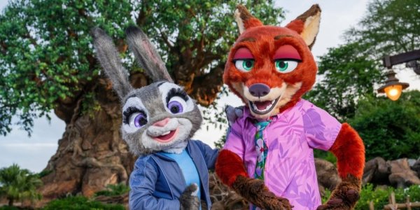 Zootopia: Better Together Coming to DAK