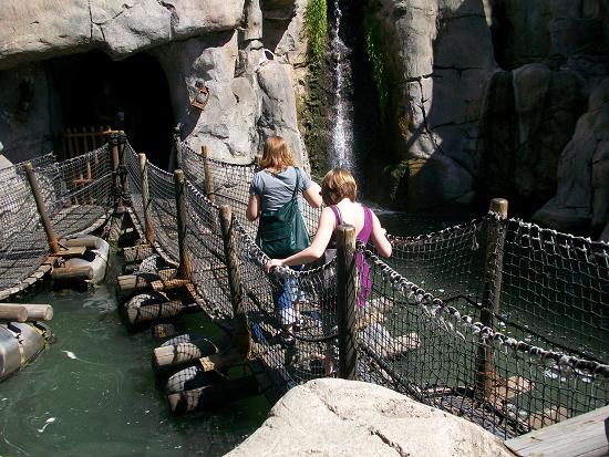 bouncin bikini at hidden falls adventure park bouncin bikini at hidden falls adventure park