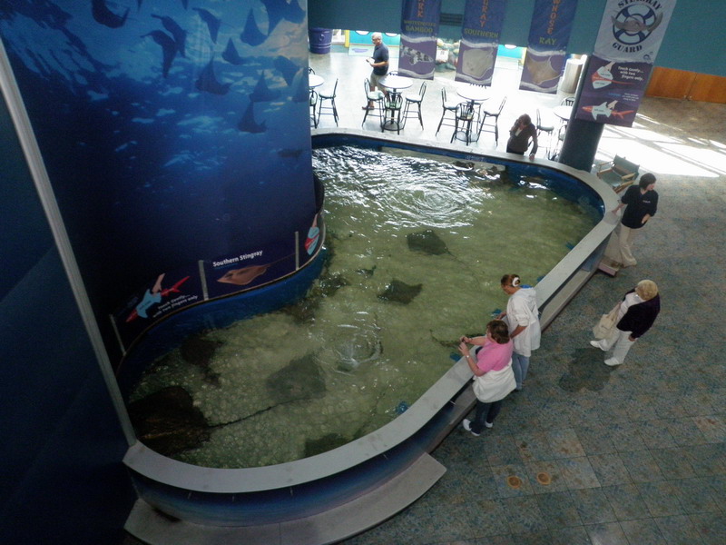 05P3187634.JPG