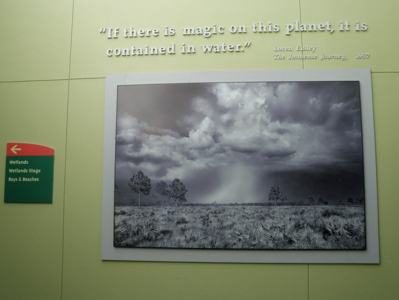 06P3187635.jpg