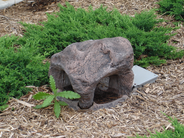 074rock.jpg