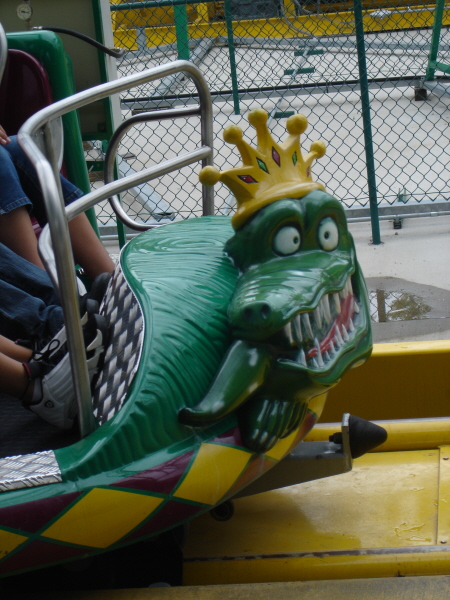 076derangedalligator.jpg