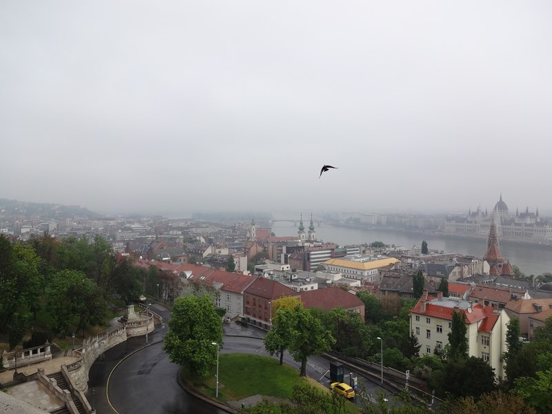 136.JPG