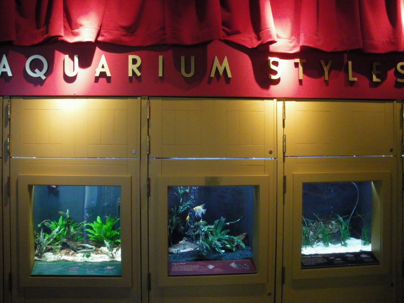 19 Florida Aquarium 2.13.11 062.jpg
