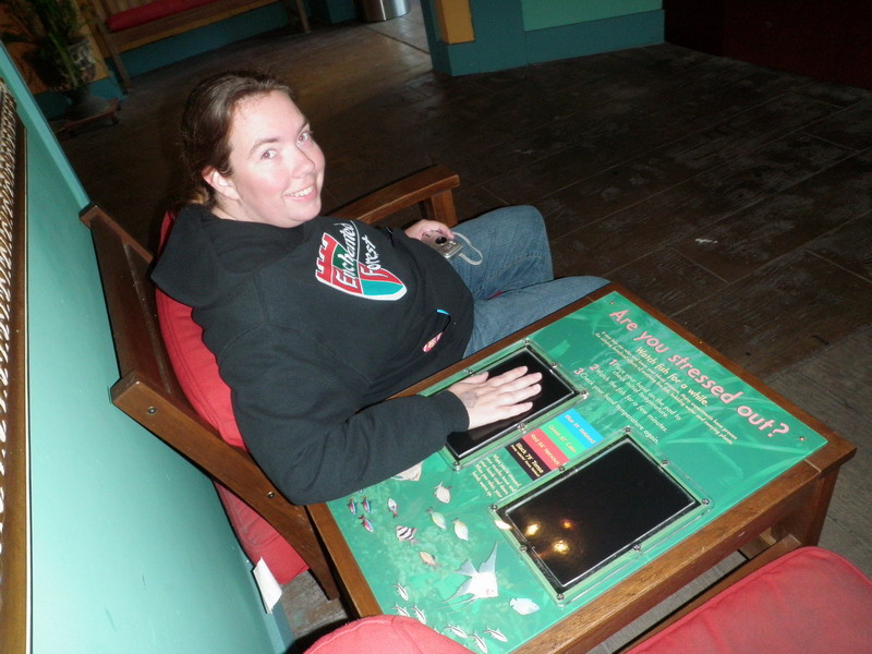 23P3187695.JPG