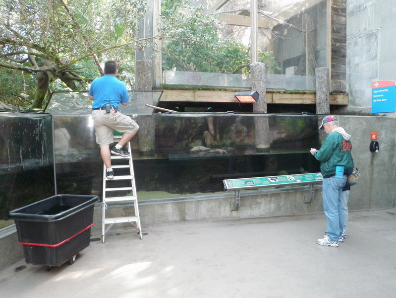 33P3187743.jpg