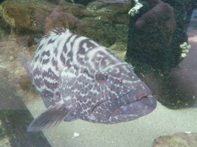 34P3187744.JPG