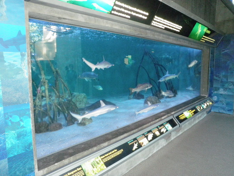 35P3187750.JPG