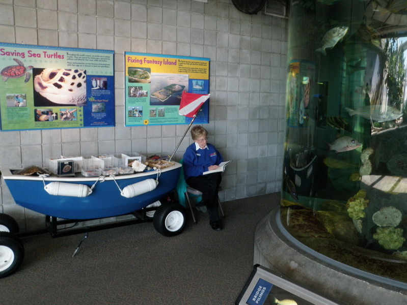 41P3187778.jpg