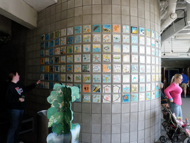 44P3187774.jpg