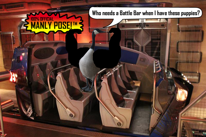 47.jpg