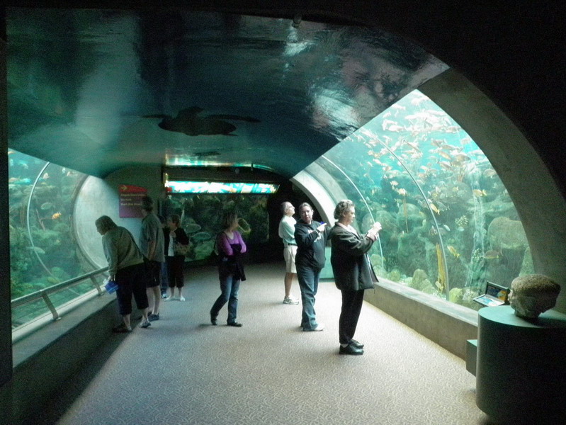 52P3187842.jpg