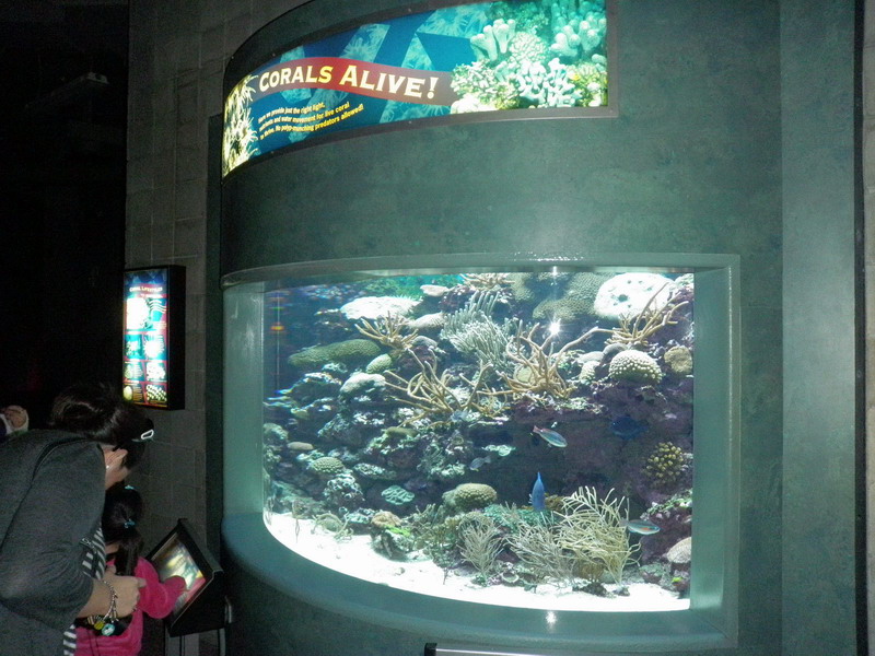 56P3187872.JPG