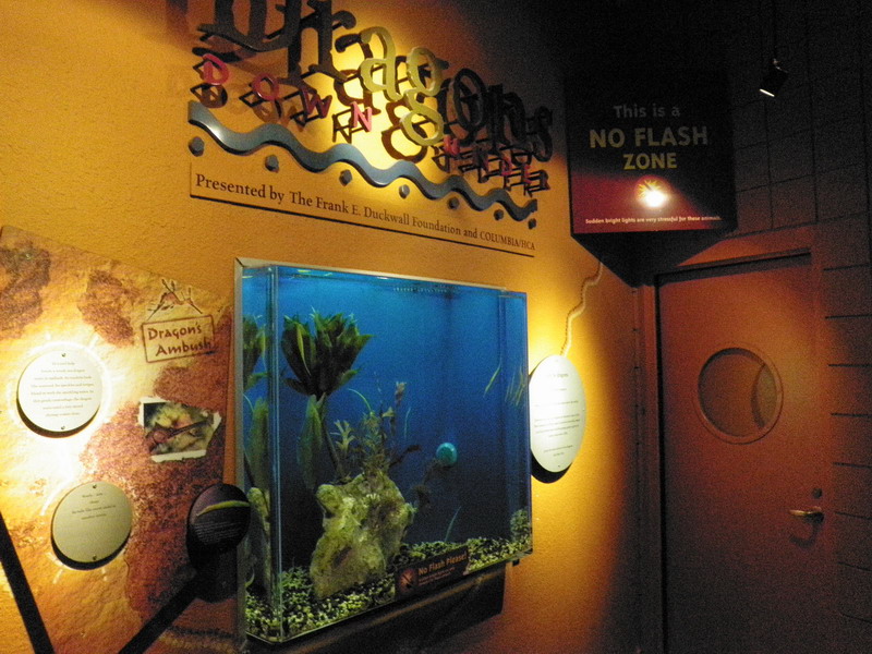 58P3187888.JPG