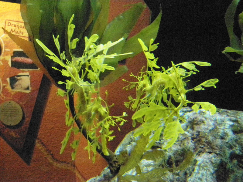 61P3187907.JPG