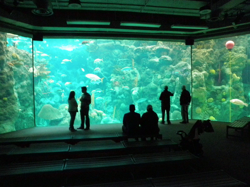 64P3187874.JPG