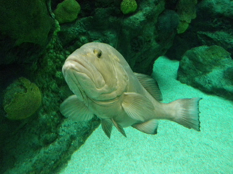 65P3187922.JPG