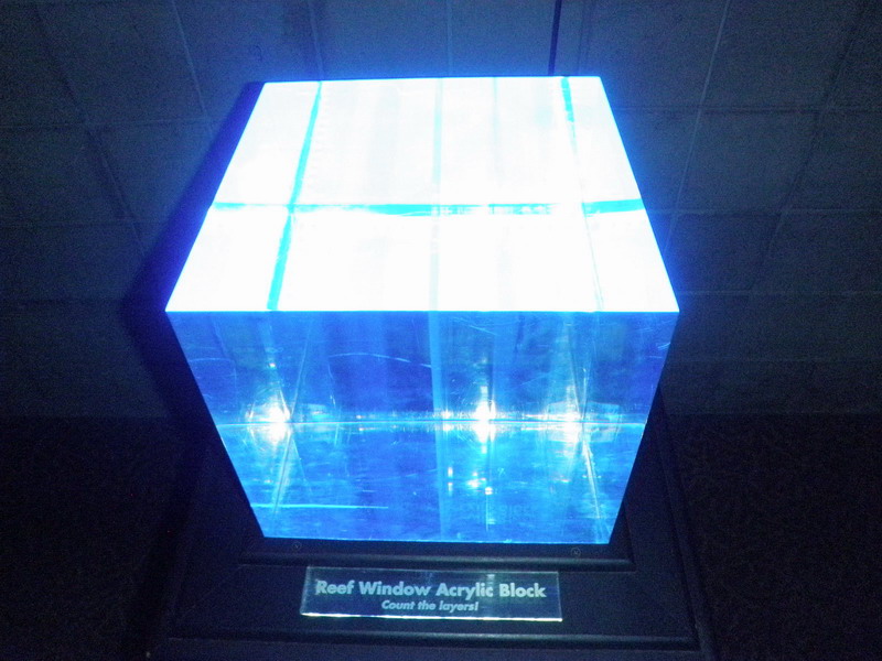 66P3187873.JPG