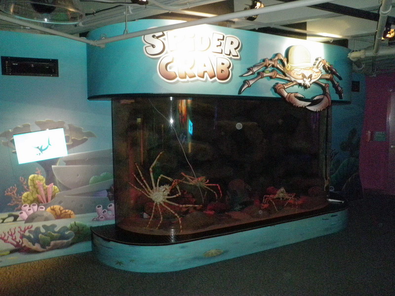 72P3187982.JPG